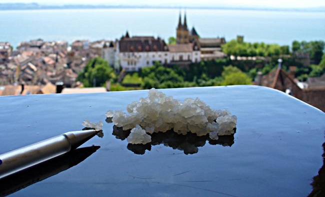 Grains of water kefir, with Neuchâtel and its lake in the background